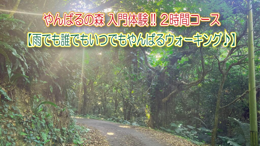 やんばるウォーキング