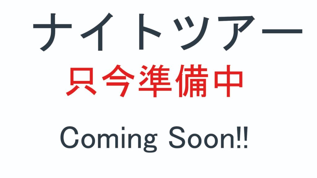 ナイトツアー・準備中